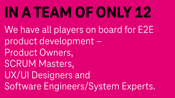 The roles represented in the product team